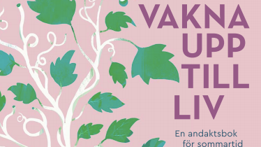 Bokomslag: Att vakna upp till liv 