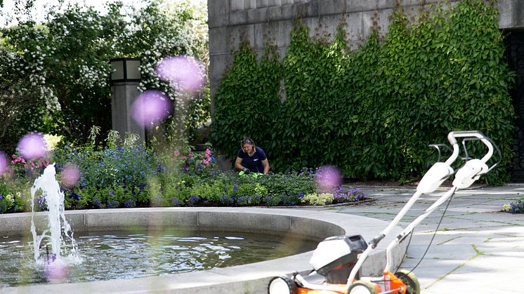 Lukt på blomstene i Vigelandsparken