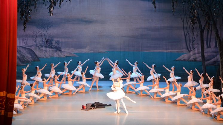                                           St Petersburg Festival Ballet - Svansjön