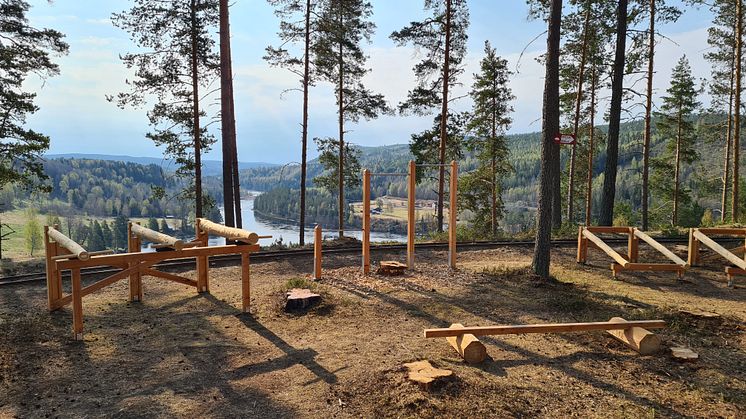 Ett utegym i Näsåker, Höga Kusten, är ett inspirerande exempel på hur platser för välbefinnande och hälsa kan utformas integrerat i naturen. Fotograf: Olof Flemström, Naturlig Rörelse Sverige AB