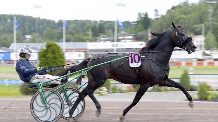 Ringostarr Treb inbjuden till Elitloppet