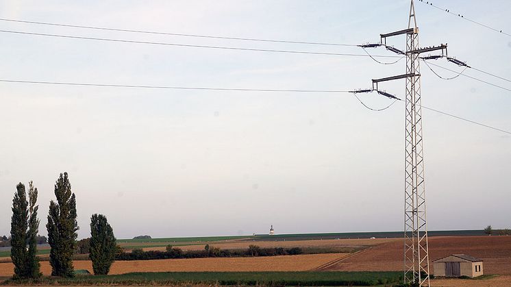 Die Bayernwerk Netz plant den Ersatzneubau von zwei Hochspannungsleitungen zwischen Dürrbachau, Schweinfurt und Rottendorf. Umweltplaner erfassen ab 11. März die Tier- und Pflanzenwelt.