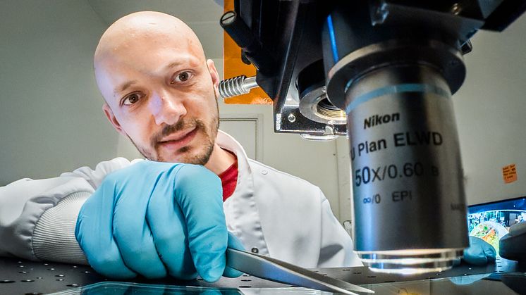 Xenofon Strakosas, forskare vid Laboratoriet för organisk elektronik vid LiU i Norrköping, har fått en forskartjänst inom elektronisk medicin finansierad genom en donation från Stig Wadströms stiftelse. Foto: Thor Balkhed