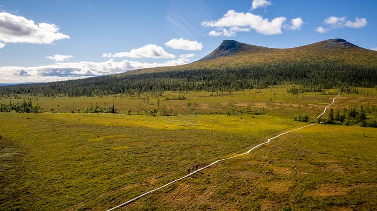 Ingen trängsel i Lofsdalen 