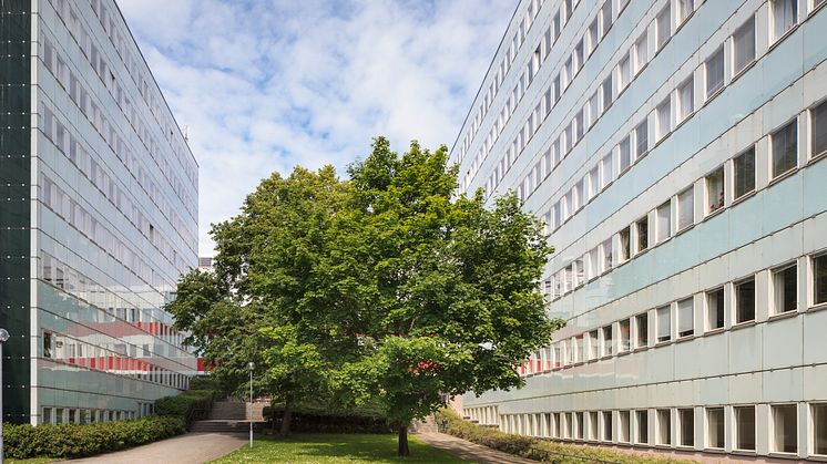 Södra Huset, Stockholms universitet