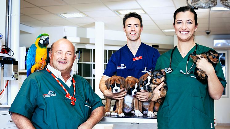 Veterinär Jannis Lundgren, Ashley Jury och Marie Jury från Väsby Djursjukhus