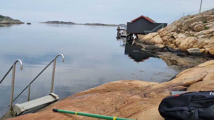 Resultaten har kommit från förra veckans provsvar, som gjordes fredagen den 18 augusti, på badvatten i Kungsbacka. Provsvaren visar på låg bakteriehalt och det går bra att bada på alla våra badplatser. 