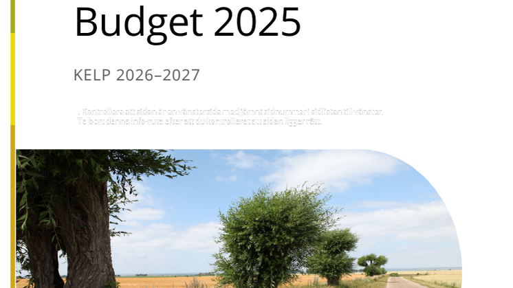Budget 2025.pdf