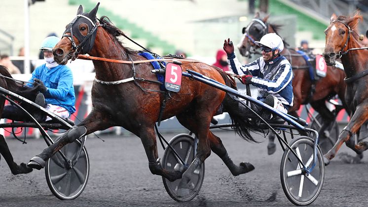 ﻿Färsk storloppsvinnare och nu står det klart att vi får se den franska stjärnan i Elitloppet för första gången. Foto: Gérard Forni