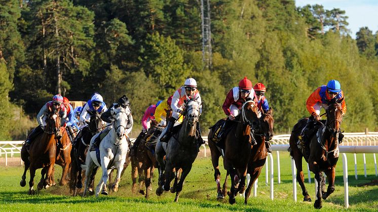 ​​​Sista tävlingsdagen på Täby Galopp – Tribute Day 18 maj