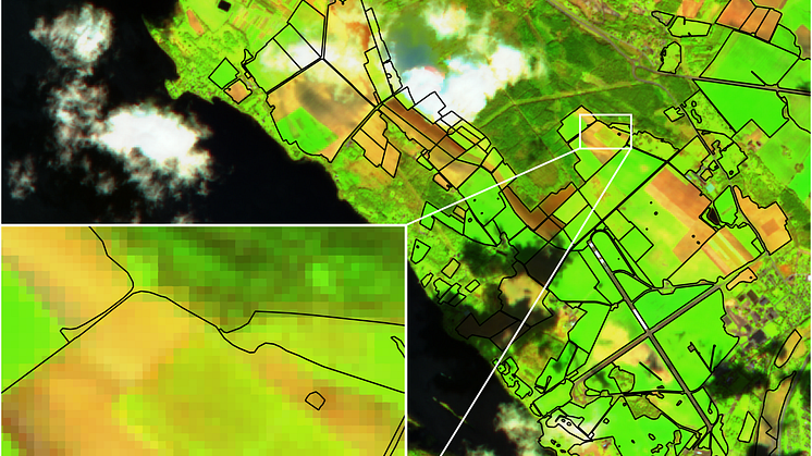 Exempel på hur en bild tagen av en Sentinel-satellit kan se ut. Källa: Europeiska rymdstyrelsen, ESA