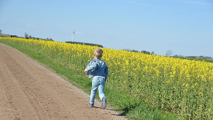 Landsbygdsfonden skapar nya möjligheter till lokal utveckling