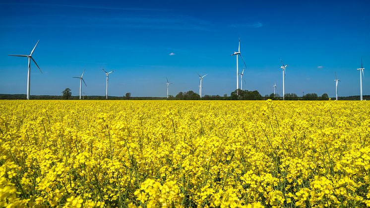 Windpark in Quarnstedt: Prokon erhält Genehmigung für Repowering. 