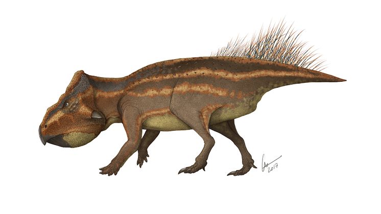 Leptoceratops