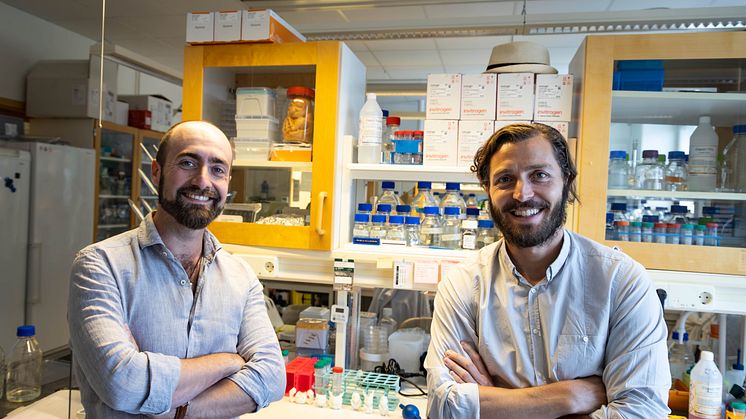 Pierfrancesco Pagella och Claudio Cantù vid Linköpings universitet. Foto: John Karlsson/Linköpings universitet