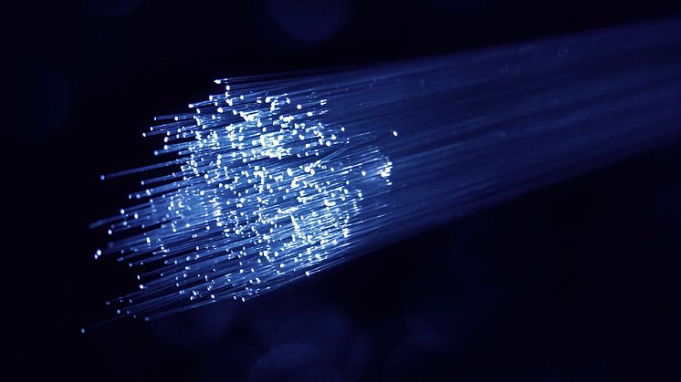 Nærbilde av fiber