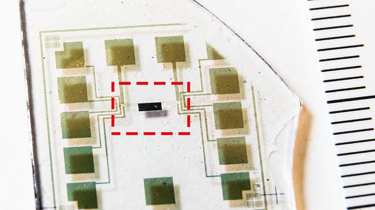 Första komplementära logiska kretsen i organisk elektronik