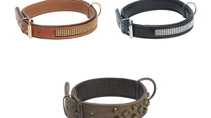 Så väljer du rätt halsband till din hund