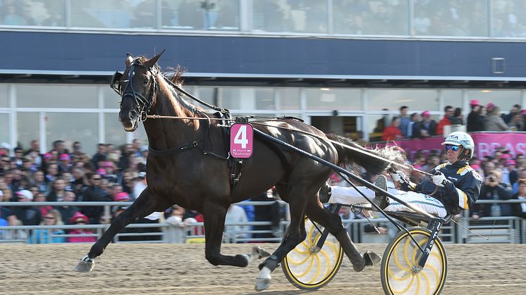 OS-hjältarna enade: Nuncio vinner Olympiatravet