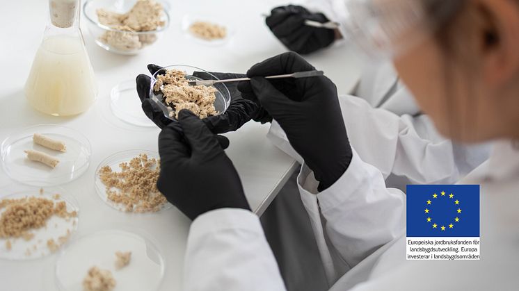 Mycorena tilldelas forskningsanslag för att fördjupa livsmedelsindustrins kunskap kring näringsupptag av mykoprotein