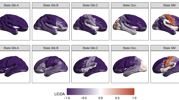 The study identified six different brain states and that brain state dynamics at birth are linked to developmental outcomes in early childhood.