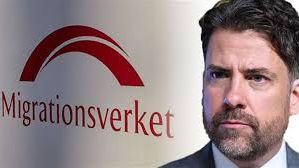 Mikael Ribbenvik, generaldirektör för Migrationsverket. "Är det någon som tror att det inte gått ut hårda och tydliga direktiv från Migrationsverkets ledning i denna fråga?"