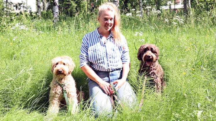 Möt Mias terapihundar Rudolf och Pippi på bup i Skellefteå