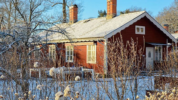 Ökad oro under uppsegling på bomarknaden 2015