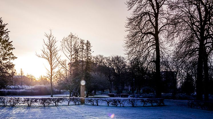 Höga elpriser och ansträngt elnät 9-18 december