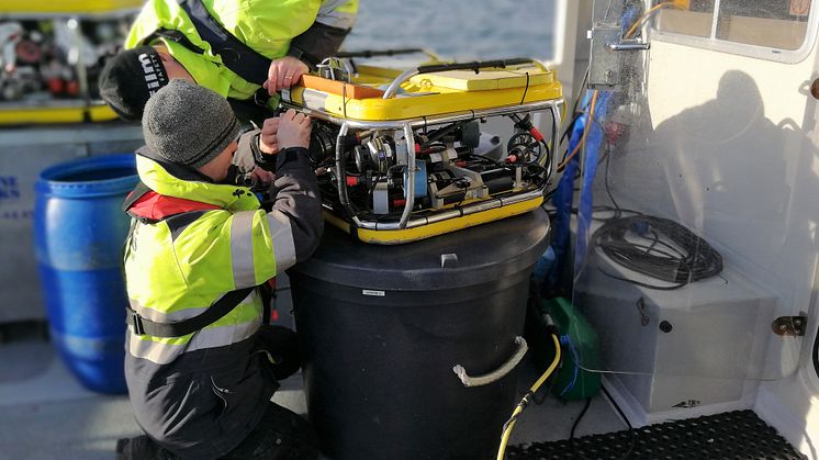 Saneringen av miljöfarliga vrak inleds: Nu töms fiskefartyget Thetis på olja