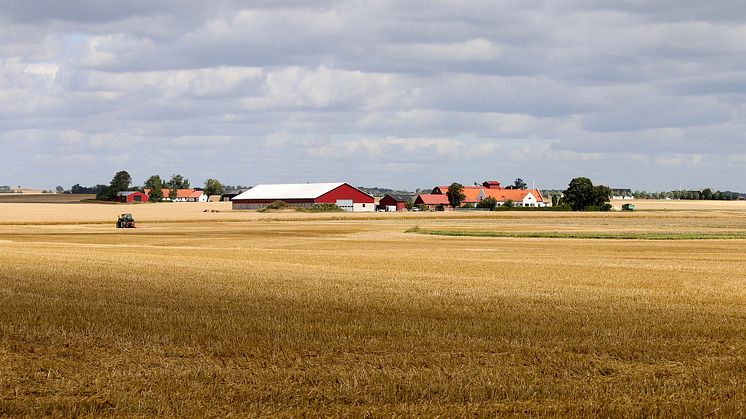 Jordbruksföretag måste kunna bli lönsamma. Söderslätt, Skåne. Foto: Jorchr, CC BY-SA 3.0.
