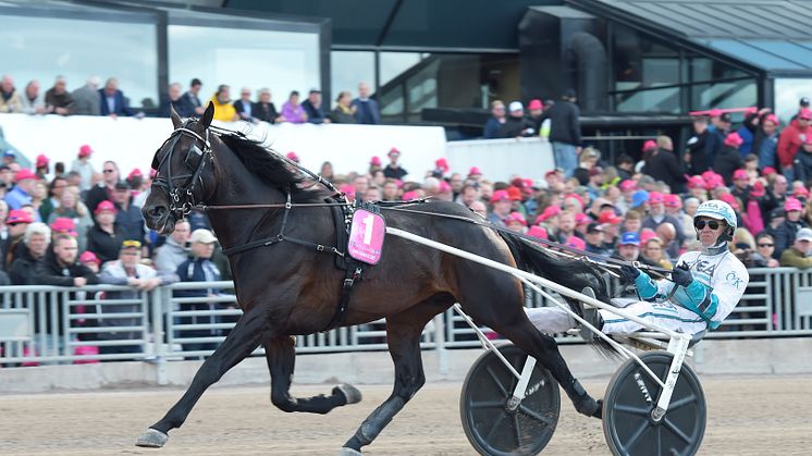 Don Fanucci Zet kvalad och klar för Elitloppet 2024