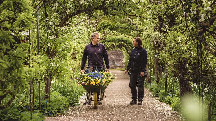 Blommor, arkitektur och nya upplevelser i parken