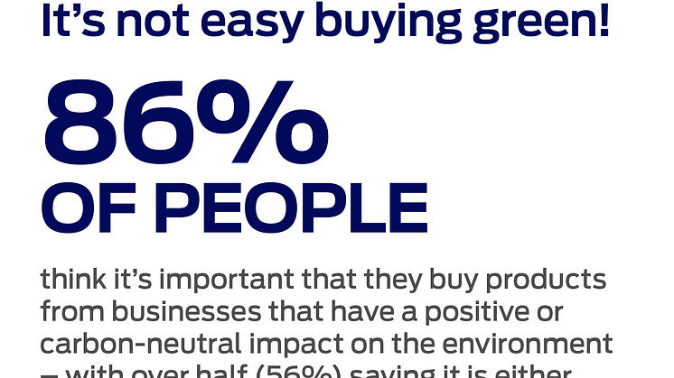 Buying Green Infographic