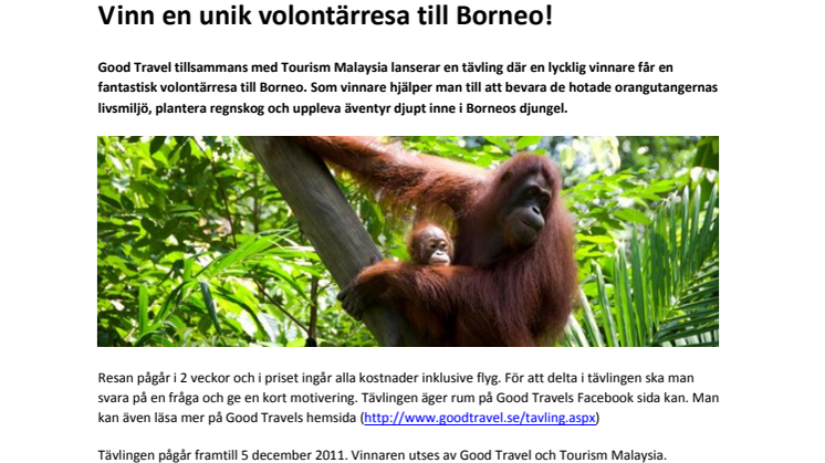 Vinn en unik volontärresa till Borneo!