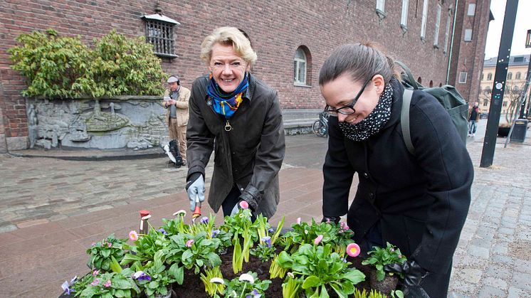 Ulla Hamilton (M): Nu är vårens romantiska blommor här