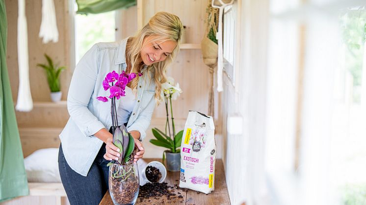 Ergänzt das vegane Bio-Erden-Sortiment von Floragard: EXOTISCH! für Orchideen.