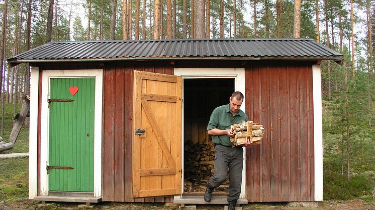 Skogssork i vanlig vedbod kan sprida sorkfeber