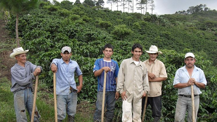Investerer i bærekraftig jordbruk i Latin-Amerika