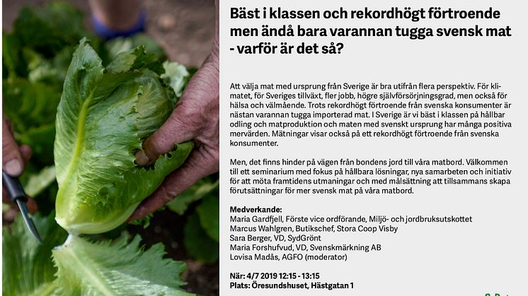 Missa inte vårt seminarie i Almedalen den 4 juli