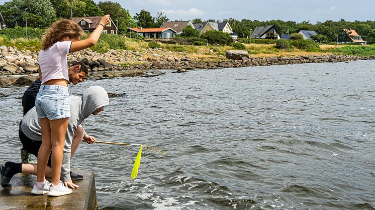 Krabbfiske i havet under sommarkollot 2021