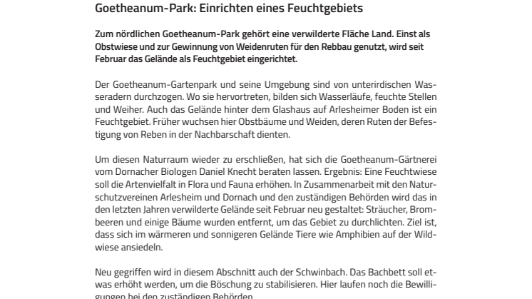Goetheanum-Park: Einrichten eines Feuchtgebiets