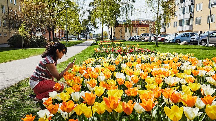 Fotograf: Tomas Södergren