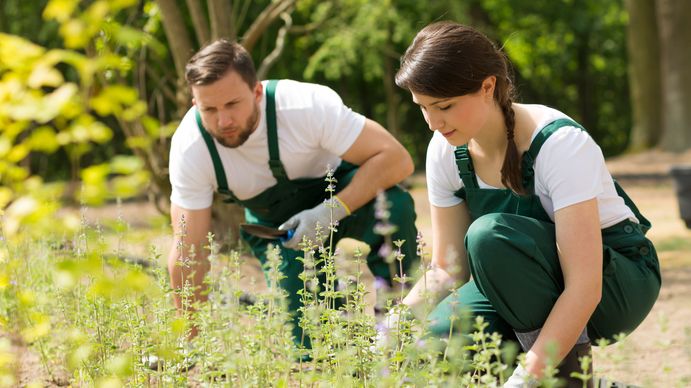 Plantagen lanserar ny tjänst för trädgårdshjälp 