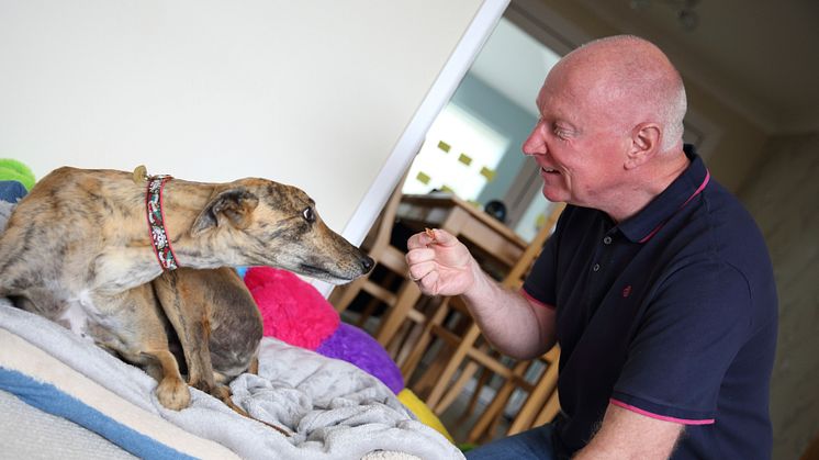 Dave Wilson turned to a four-legged friend to help him make lifestyle changes after his stroke – a rescue greyhound called Rory.  Rory helps gives Dave the motivation to exercise and improve his health, cutting the risk of a further stroke.