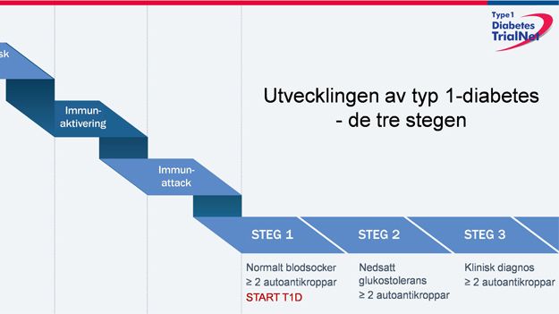 Tre steg i utvecklingen av diabetes typ 1