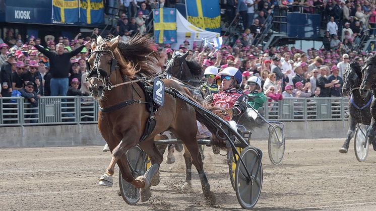 Finske Evartti och Santo Raitala vann Elitkampen på Solvalla 2023. Foto: TR Bild
