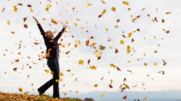 Frau im Herbst die Laub in die Luft wirft.jpg