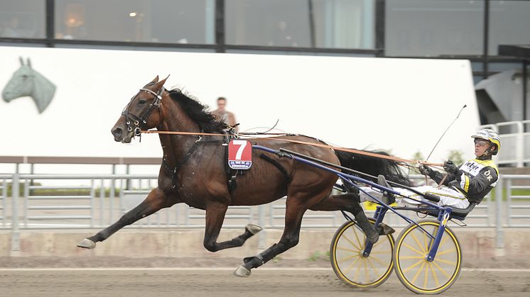 Måndag: Extra V75 på Solvalla med uttagningslopp till Kriteriet och Oaks