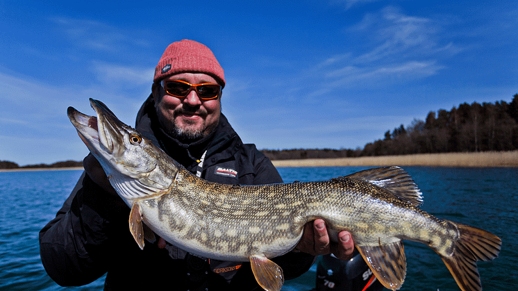 Johan Broman fiskar gädda i Handsjön under inspelningen av Fiskedestination, Fisketåget, som sänds på tv under april. 